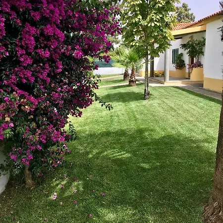 Vitoria's House Azeitao